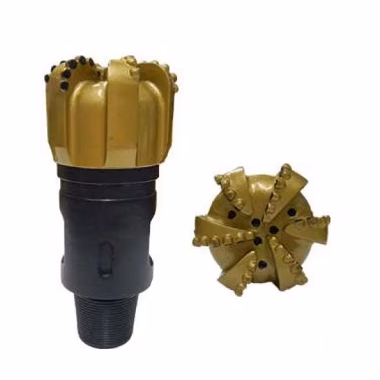 Hojas Cuerpo de acero Cuerpo de matriz Broca PDC